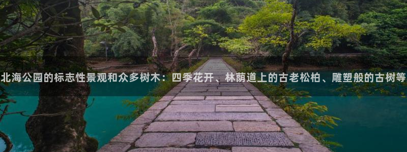 新宝gg赚钱:北海公园的标志性景观和众多树木:四季花开、林荫道上的古老松柏、雕塑般的古树等