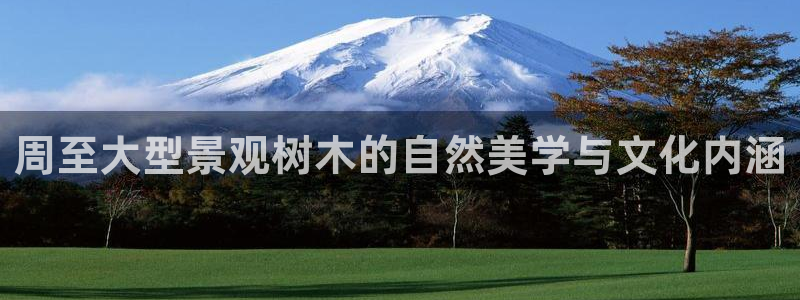 新宝gg搜740005:周至大型景观树木的自然美学与文化内涵